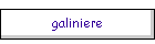 galiniere