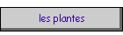 les plantes